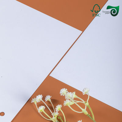 FSC Highly Polished Finish Couche Paper  300gsm 350gsm Recyclable White C2S Coated Paper