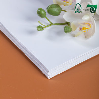 300GSM FSC SGS Certified White Art Gloss Paper Reel 100% Natural Pulp