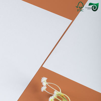 High Whiteness Excellent Ink Absorbing Uncoated Woodfree Paper For School Textbook Printing White Paperboard Manufacturer