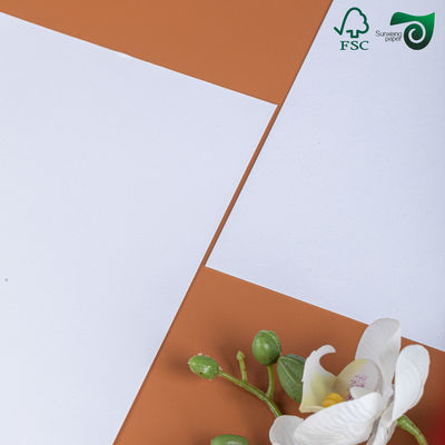255g FSC Single Coated Ivory White Cardboard Low Weight For Writing
