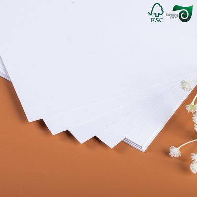 C2S Matte Coated Glossy Paper FSC 80G 90G 100G 115G 635mm 900mm Art Board