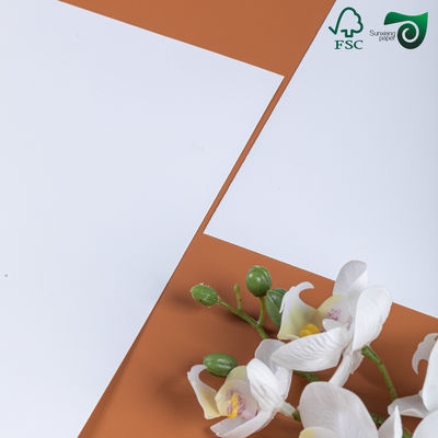 Double Side Glossy Coated Paper FSC 300gsm For Digital Printing