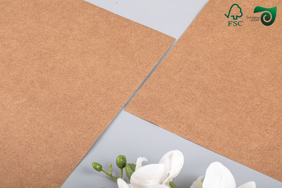 FSC Food Grade Brown Kraft Board 270gsm 300gsm Ideal For Lunch Boxes Food Packaging