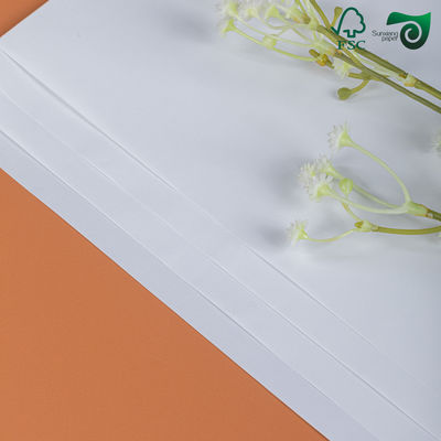 25 38 Inch 100gsm C2S Silk Matte Paper  Luxuriously Smooth Ideal For Text   Covers