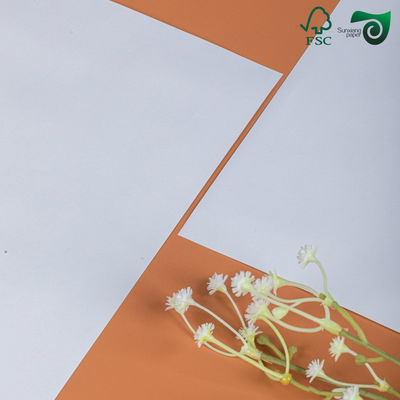 Double Sided White Matte Coated Art Card 250g  300g 25 36 Inches FSC Glossy Art Paper