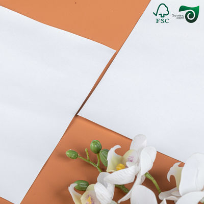 FSC Certified Bright White Uncoated Paperboard  200gsm 300gsm For Offset Printing