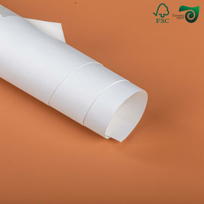 180gsm 230gsm Uncoated Woodfree White Paper In Roll For Producing Shopping Bag Wholesale China