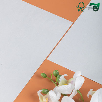 42g 45g 48.8g FSC Uncoated Light Grey News Printing Paper Roll 63cm Width