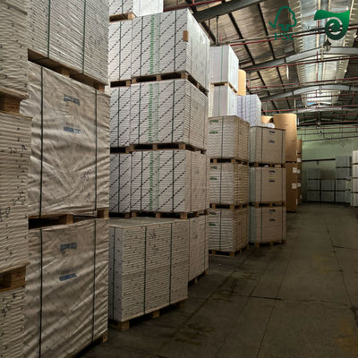 FSC 190gsm Bowl Paper 100% Virgin Wood Pulp Custom Coated For Paper Bowl Making