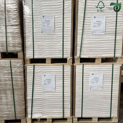 250gsm 400gsm CCNB Carton Board Clay Coated News Back  Duplex Cardboard For Freezer Food Packaging