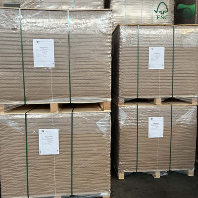 200gsm 230gsm Uncoated Coloured Bristol Board Product Introduction