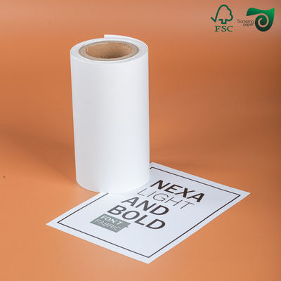 70gsm 80gsm Thermal Paper Jumbo Rolls Glossy Finish Custom Sizes FSC