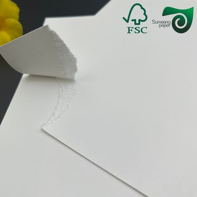 FSC C1S Food Grade FBB Board 270g 325g 350g  Low Temperature Resistant For Hamburger Box