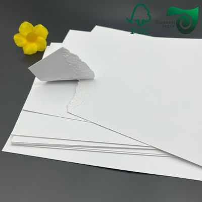 FSC High Bulky FBB Food Board 37'' 25'' 325gsm 350gsm For Chocolate Packaging