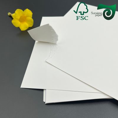 FSC 270gsm Single Side Coated FBB Board 42 29.5 Inch High Stiffness Frozen Food Grade Board