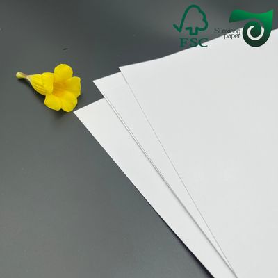 FSC Anccardboard White Side FBB Cardboard 1000gsm 1200gsm 107cm 77cm Folding Boxes