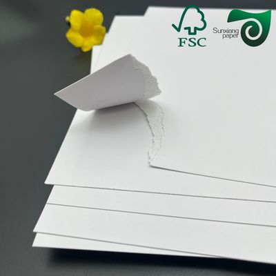 FSC Anccardboard White Side FBB Cardboard 1000gsm 1200gsm 107cm 77cm Folding Boxes