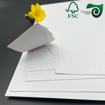 FSC 400g C1S Glossy Coated White FBB Folding Box Board High Stiffness Recyclable