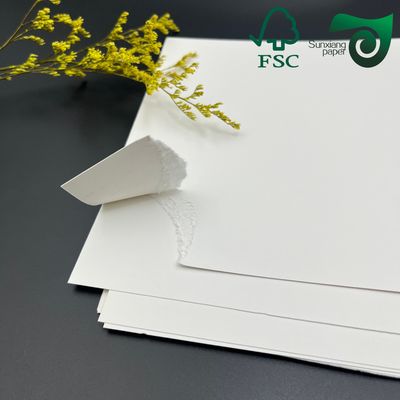 250gsm 420 Microns Roll Freezer Paper Single Side Coated For Food Packaging