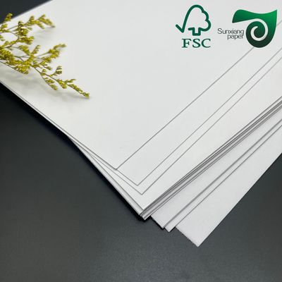 FSC Certified Single Side Clay Coated Food Grade FBB Paper Board 215gsm 295gsm For Medicine Boxes