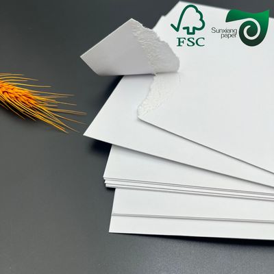 250gsm 420 Microns Roll Freezer Paper Single Side Coated For Food Packaging