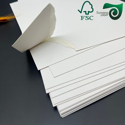 FSC Certified Single Side Clay Coated Food Grade FBB Paper Board 215gsm 295gsm For Medicine Boxes