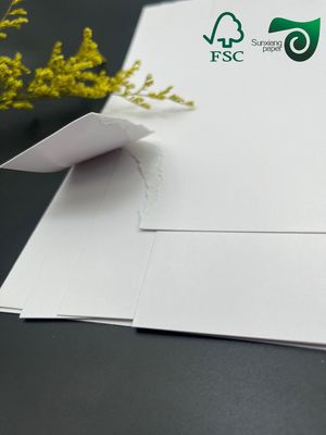 300gsm FSC Single Sided Coated CardBoard C1S High Fold Strength For Food Packaging