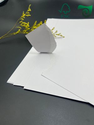 300gsm FSC Single Sided Coated CardBoard C1S High Fold Strength For Food Packaging