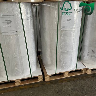 FSC 100gsm 150gsm Matt Coated CAD Plotter Paper Roll 24'' 36'' 300ft   Dye Ink Compatible