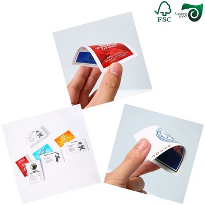 High Stiffness FSC Ivory Board FBB White Paper Board 300GSM 350GSM  Ideal For Rigid Packaging 72x102cm Format