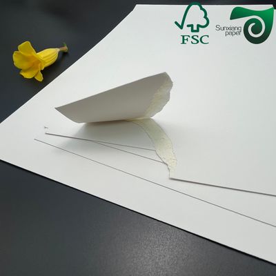 FSC 170gsm C1S Ivory SBS Paper Board For Garment Hangtags High Whiteness