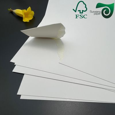 FSC 275g 300g  GC1 FBB Board Bleached Cardboard Rolls Sheets 635mm Width