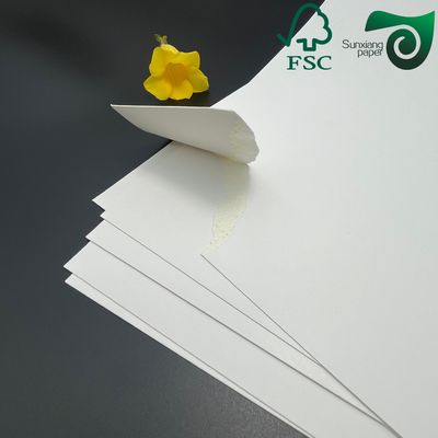 FSC 170gsm C1S Ivory SBS Paper Board For Garment Hangtags High Whiteness