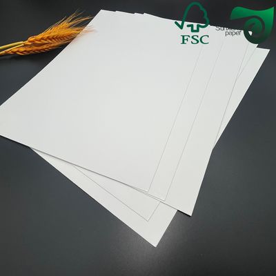 C1S Folding Box Board 215gsm 230gsm For Cigarette Premium Packaging 520mm 1000mm