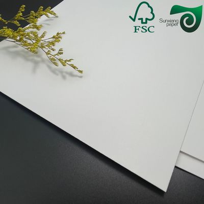 FSC 275gsm 325gsm 700mm Ivory White FBB Board Perfect For Direct Mail