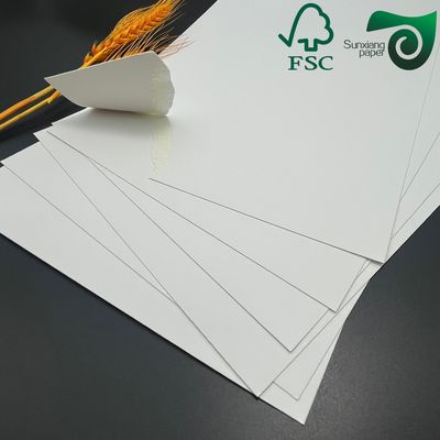 250gsm Single Sided Coated  FBB Cover Stock Exquisite White Cardboard Ivory Board Paper FSC