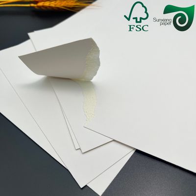 FSC C1S Folding Box Board 215gsm 220gsm  White For Cigarette Carton Packaging