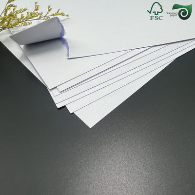 FSC  Double Sided Coated Black Core Playing Card Board 280gsm 310gsm High Stiffness
