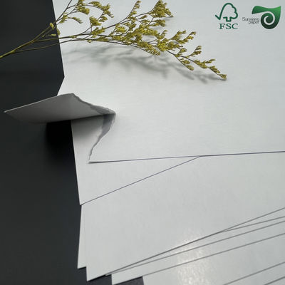 150gsm 157gsm White Art Glossy Paper C2S 635mm 914mm For Premium Printing