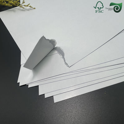 FSC 280gsm 290gsm 300gsm Black Core C2S Paper Cards Printing Specific