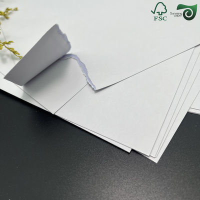 C2S Matte Coated Glossy Paper FSC 80G 90G 100G 115G 635mm 900mm Art Board