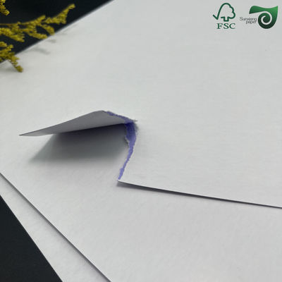 C2S Matte Coated Glossy Paper FSC 80G 90G 100G 115G 635mm 900mm Art Board