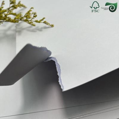 FSC C2S Coated Blue Core Playing Card Paper  280gsm 300gsm  71cm 65cm With Good Flexibility