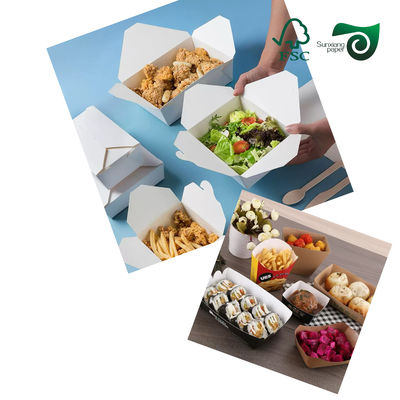 FSC 325gsm Uniform White Coated Kraft Back Paper 70 100cm For Bread Packaging