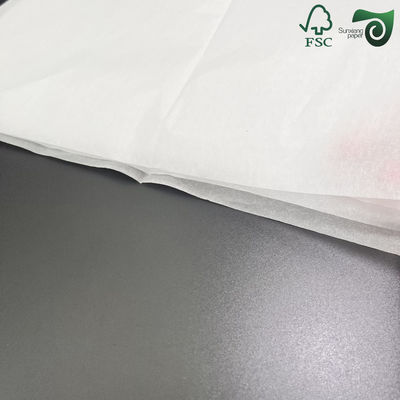 Food Grade Direct Contact Wrapping Paper Oil Resistant Eco Friendly Coated FSC