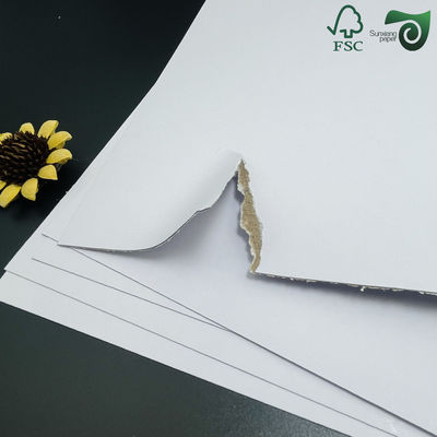 FSC 200gsm 300g Recycled Coated Duplex Board  Grey Back Ideal For Notebook Covers