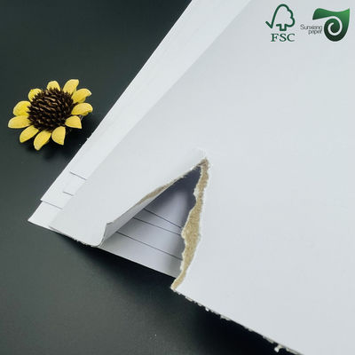230gsm 250gsm Grey Backed Coated Duplex Board Professional Shoe Box Packaging Paperboard