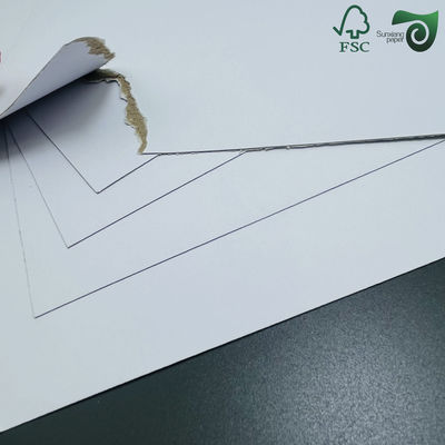 FSC 1.5mm 2mm Laminated Rigid Paper Board With One White Face Sized 1m By 1.3m
