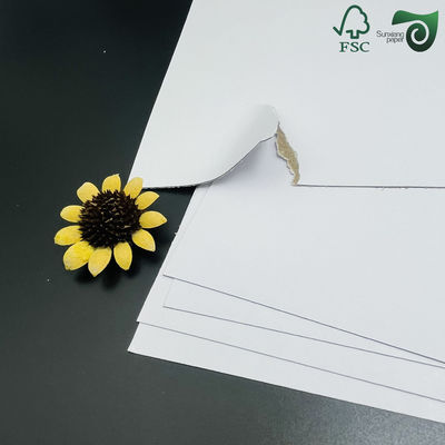 1mm 820g White Cardboard FSC With Grey Middle Layer 2 Layer Laminated Carton Board 31" 43"