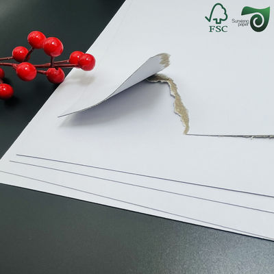 FSC 1.5mm 2mm Laminated Rigid Paper Board With One White Face Sized 1m By 1.3m